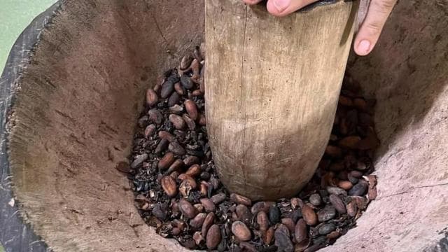 San Carlos: The Art of Chocolate Making Tour at Don Olivo - Dominican Republic
