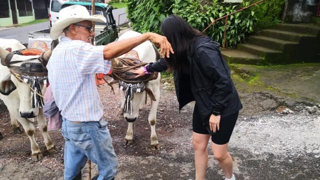 San José: Geführter Tagesausflug zum Vulkan, zum Wasserfall und zur Kaffeefarm - Photo 5 (Gallery view)