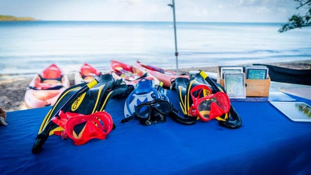 Fajardo: Snorkeling Gear Rental - Photo 4 (Gallery view)