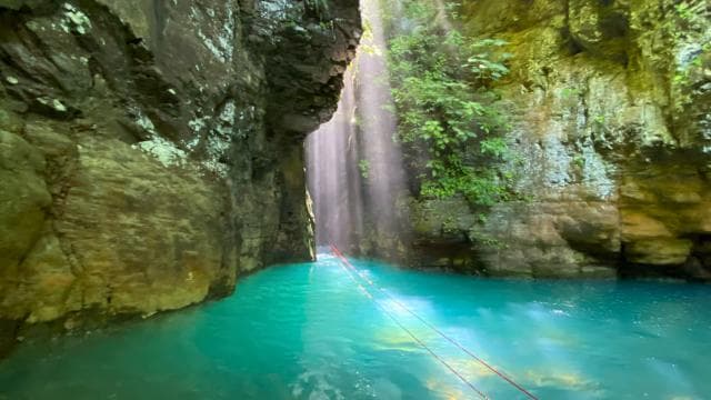 Guanacaste: La Leona Waterfall Hike with Lunch - Photo 3 (Gallery view)