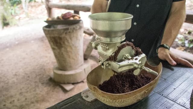 La Fortuna: Rainforest Chocolate Tour - Photo 3 (Gallery view)