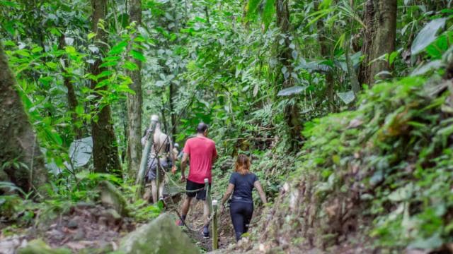 La Fortuna: 12 Canopy Zip Lines and Forest Walk Guided Trip - Photo 4 (Gallery view)