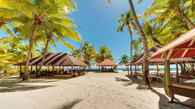 Saona Island All Inclusive Tour - Photo 2 (Gallery view)