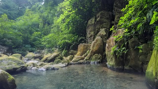 Discover a Hidden Paradise & Learn about Plants. - Photo 3 (Gallery view)