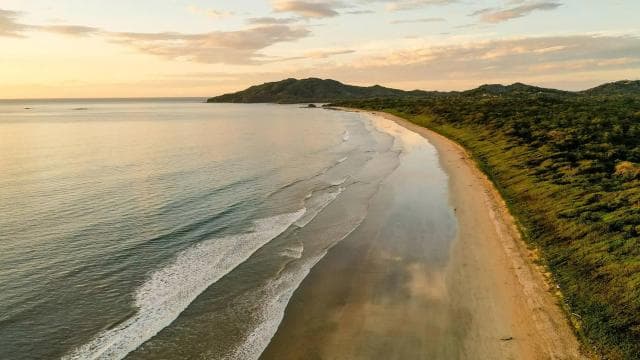 Uvita: Private Marino Ballena Boat Cruise Whales & Dolphins - Dominican Republic