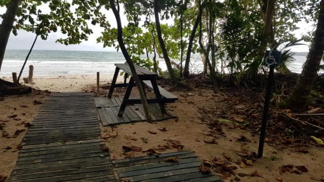 Puerto Limon: City Highlights and Cahuita National Park Tour - Photo 2 (Gallery view)