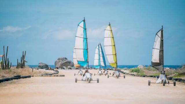 Avventura sull'isola di Bonaire - Photo 3 (Gallery view)