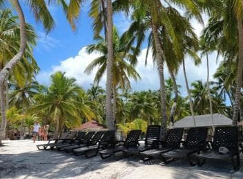 Juan Dolio: Saona Island Day Trip with Lunch & Open Bar - Dominican Republic