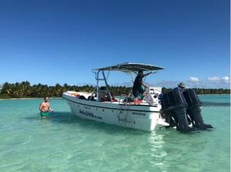 Isla Saona Wildlife Safari: Your All-Inclusive Escape - Photo 5 (Gallery view)