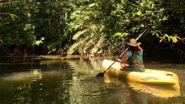 CARIBBEAN EXPERIENCE - PUNTA UVA - Dominican Republic