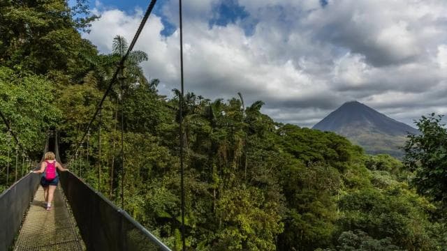 From La Fortuna: Mistico Arenal Hanging Bridges Park Tour - Photo 2 (Gallery view)