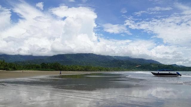 Uvita: Marino Ballena National Park Whale-Watching Tour - Photo 5 (Gallery view)