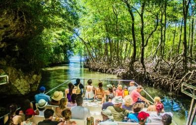Samana: Visit Samana, Los Haitises Park, and Cayo Levantado Island - Photo 5 (Gallery view)
