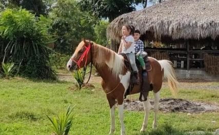 Santo Domingo: Horseback Riding - Round Trip Transportation - Photo 4 (Gallery view)