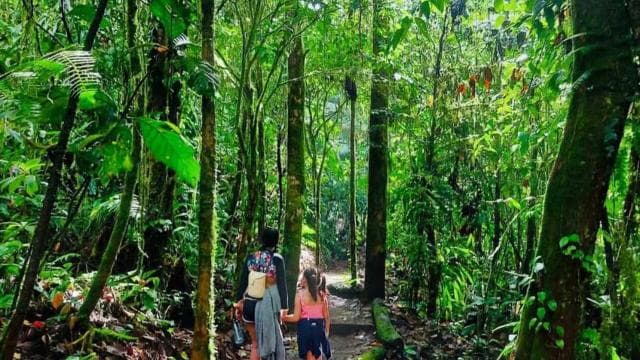 La Fortuna: Arenal Volcano Ecological Park Entry Ticket - Photo 3 (Gallery view)