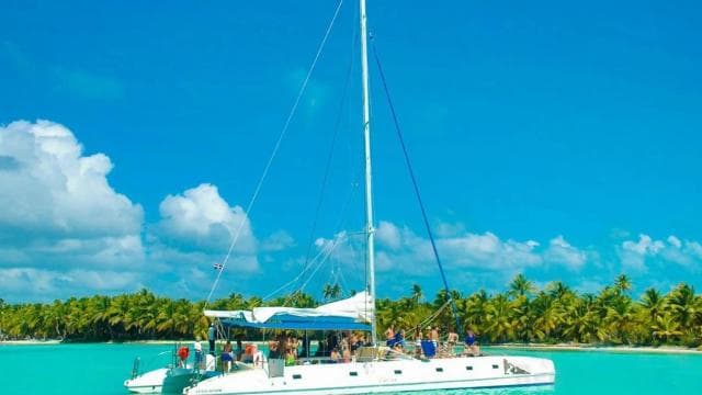 Punta Cana: Saona Island All-Inclusive Day Trip - Photo 5 (Gallery view)