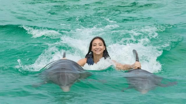 Punta Cana: Dolphin Action Program - Dominican Republic