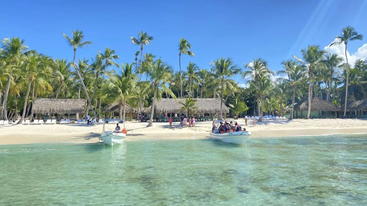 Santo Domingo: Saona Island full-day tour all-inclusive - Photo 2 (Gallery view)