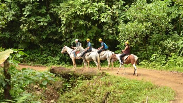 Quepos: Cabalgata a las Cascadas del Chamán - Photo 2 (Gallery view)