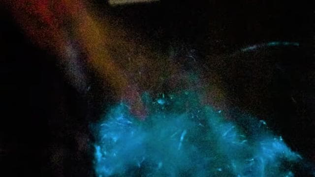 Paquera: Sunset and Bioluminescence Evening Kayaking Tour - Photo 5 (Gallery view)