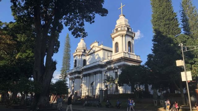 Walking Tour in the Alajuela - Photo 2 (Gallery view)
