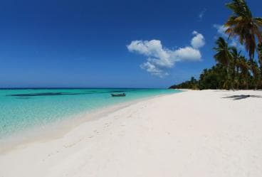 Isla Saona Wildlife Safari: Your All-Inclusive Escape - Dominican Republic