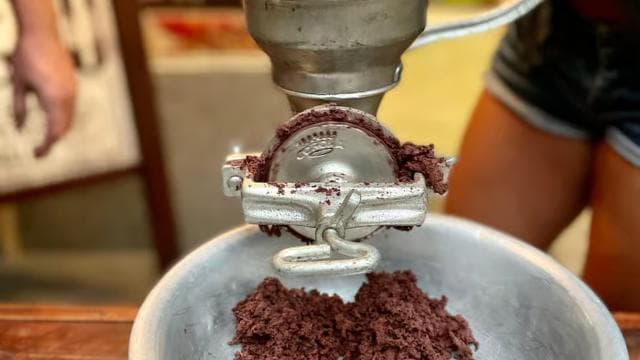 San Jose: Cacao & Chocolate Workshop - Dominican Republic