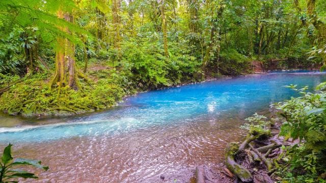 Rio Celeste Waterfall in Tenorio Volcano National Park - Photo 3 (Gallery view)