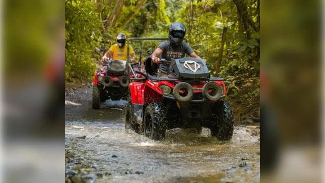 Carabalí Yağmur Ormanı Parkı: Rehberli ATV Macera Turu - Photo 2 (Gallery view)