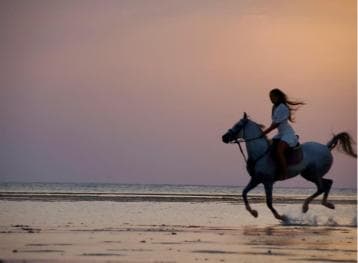 Makadi Bay: Reiten in Wüste und Meer mit Führer + Transfers - Dominican Republic