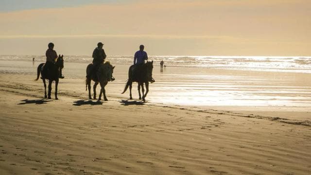 Tamarindo: Horseback to Conchal Beach Guanacaste, Costa Rica - Photo 4 (Gallery view)