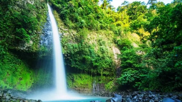 Jaco: Arenal Volcano, Fortuna Waterfall, & Hot Springs Tour - Photo 4 (Gallery view)