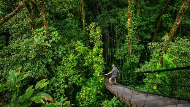 Land of Senses (Waterfalls, Hike, Thermals) by Sensoria - Dominican Republic