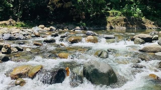 Concrete Jungle to the Actual Jungle, Complete Package Tour - Photo 3 (Gallery view)