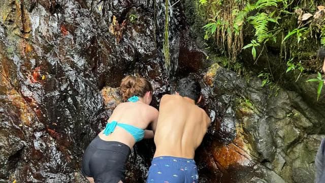 Wycieczka po El Yunque, wycieczka po rzece i zjeżdżalniach wodnych - Photo 5 (Gallery view)
