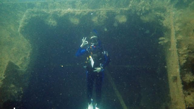 Golfito, Costa Rica: Amazing Day Wreck &/or Reef Dive Trips - Dominican Republic