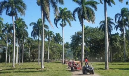 AMBER COVE TAINO BAY Super Buggy Tour - Photo 2 (Gallery view)