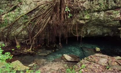Private: Bayahibe: Jungle Walk and Cenote Snorkeling Tour - Dominican Republic