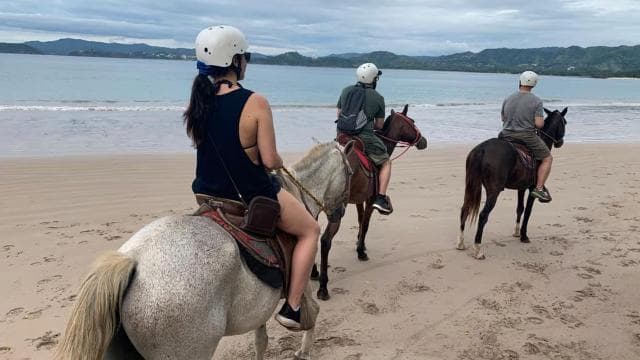 Horseback riding on the beach - Photo 4 (Gallery view)