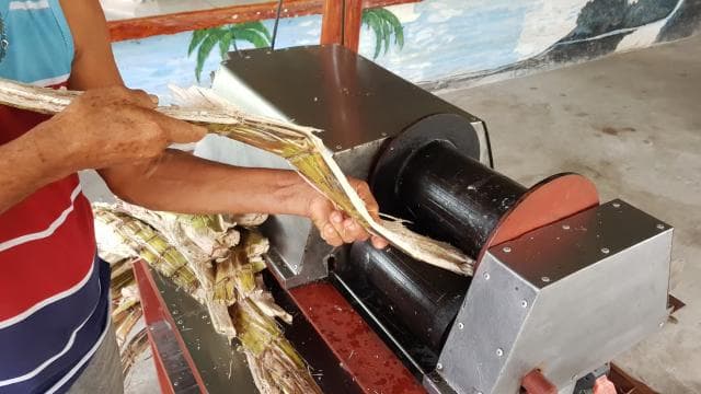 Puerto Limon: City Highlights and Cahuita National Park Tour - Dominican Republic