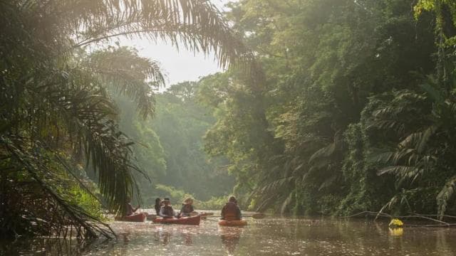 Guided Kayak Tour in Tortuguero National Park ***EXCITING** - Dominican Republic