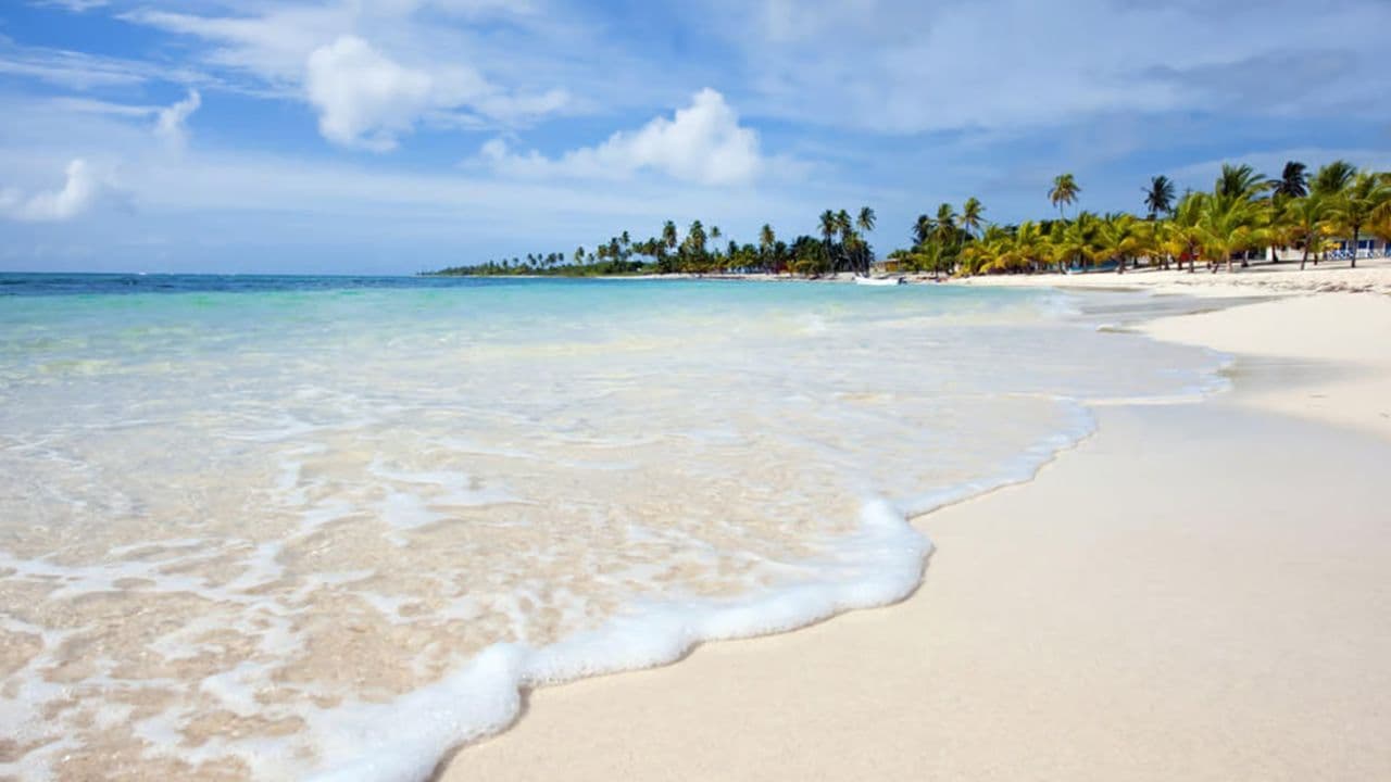 From Santo Domingo: Isla Saona Full-Day Tour with Lunch - Photo 4 (Gallery view)
