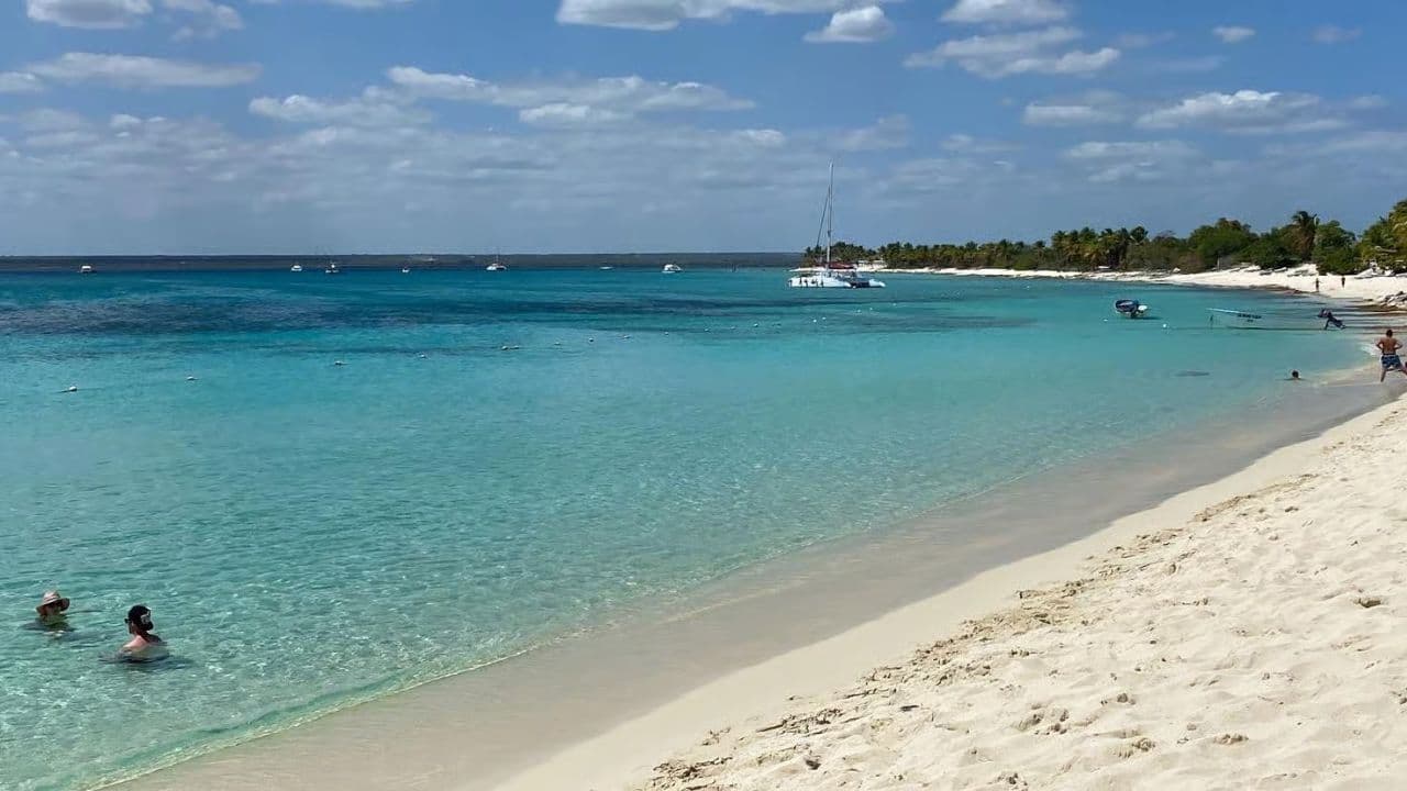 Saona Island Full-Day Tour with Lunch from Punta Cana - Photo 3 (Gallery view)
