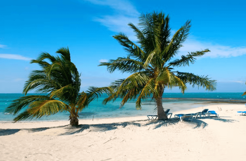 The Best of Cuba: 11-Day Tour - Photo 5 (Gallery view)
