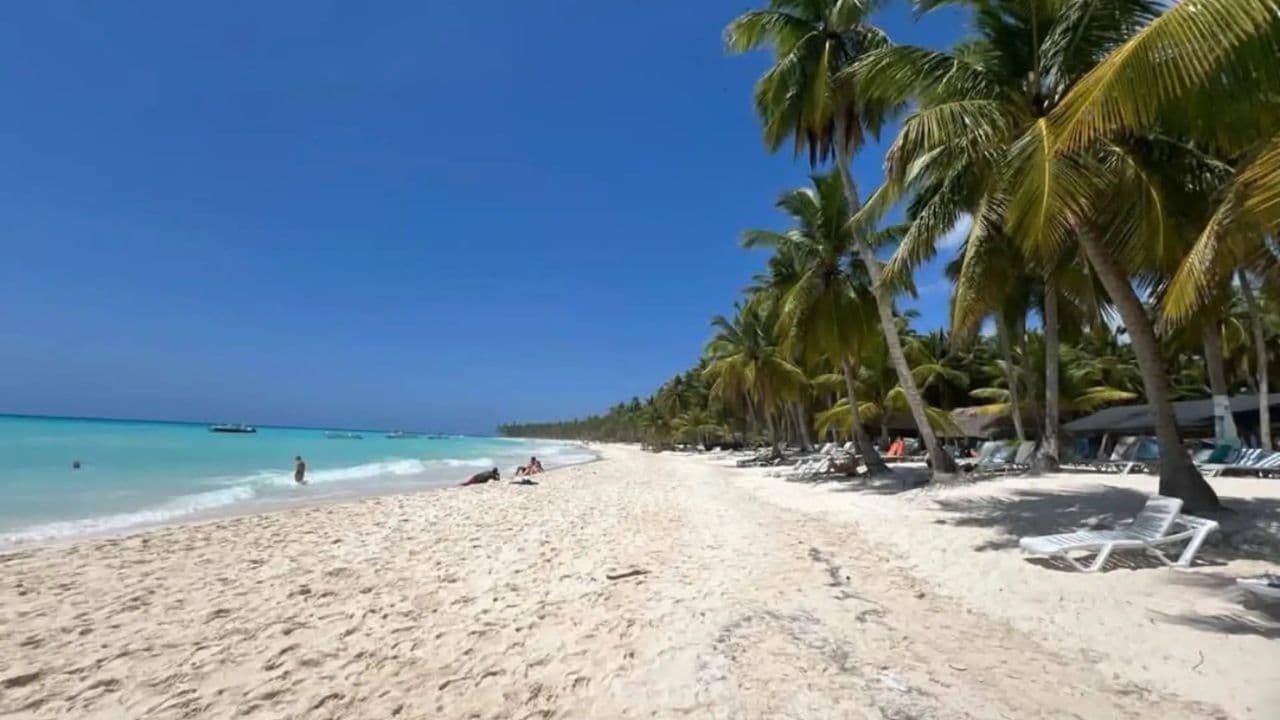 Excursion d'une journée tout compris sur l'île Saona au départ de Punta Cana - Photo 3 (Gallery view)