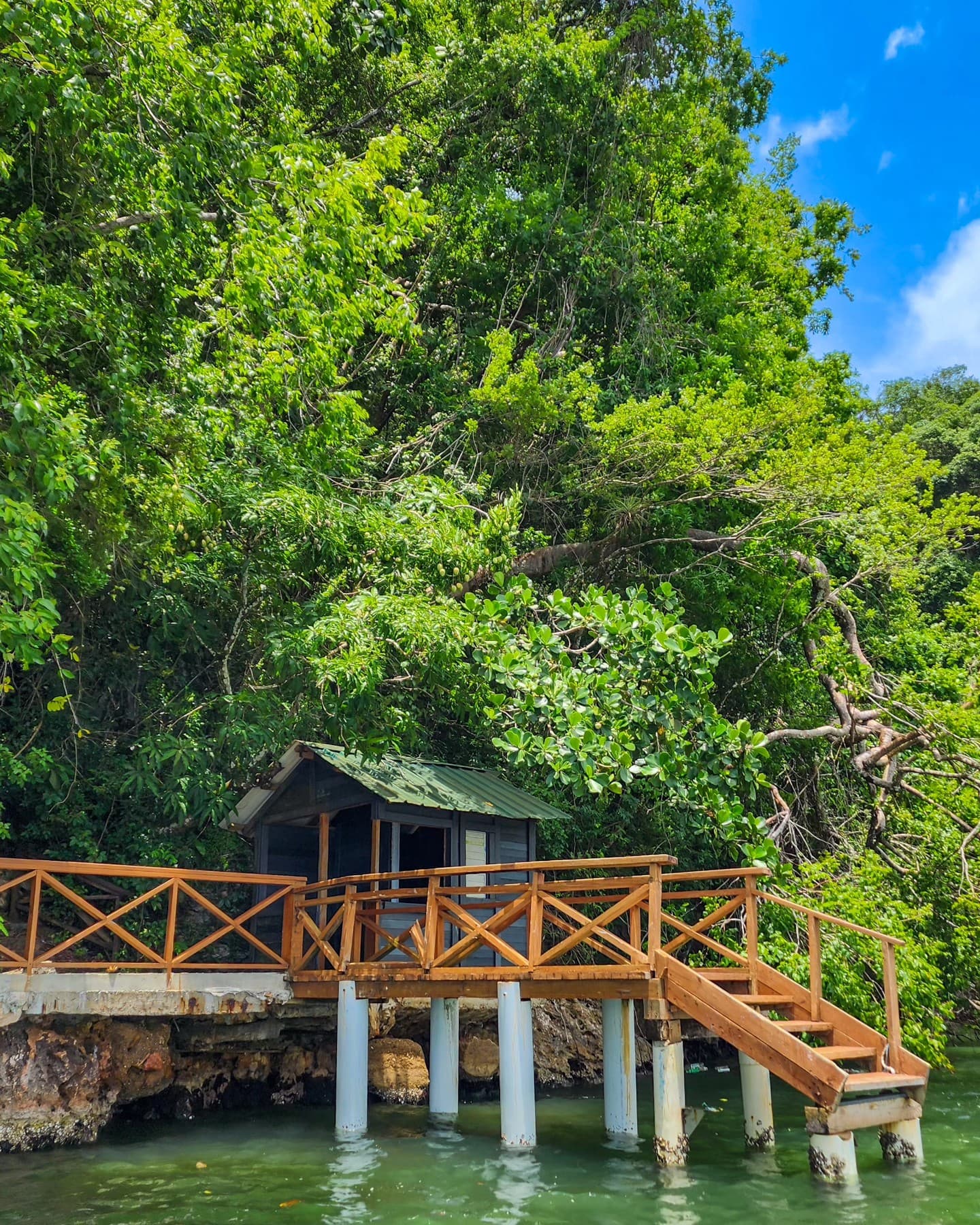Cano Hondo Natural Pools & Los Haitises boat tour - Photo 5 (Gallery view)
