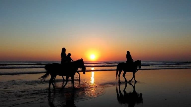 Puerto Plata: Sunset Beach Horseback Riding Tour - Photo 3 (Gallery view)