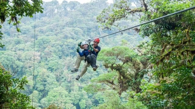 Monteverde: 3-in-1 Sky Tram, Sky Trek and Sky Walk - Photo 4 (Gallery view)