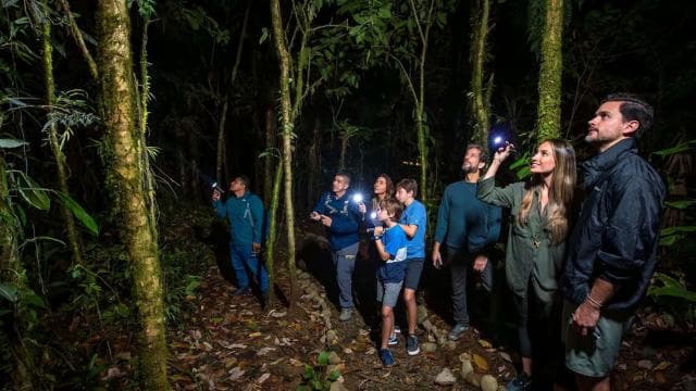 Tortuguero: Canoe tour package and night walk in the jungle. - Photo 3 (Gallery view)