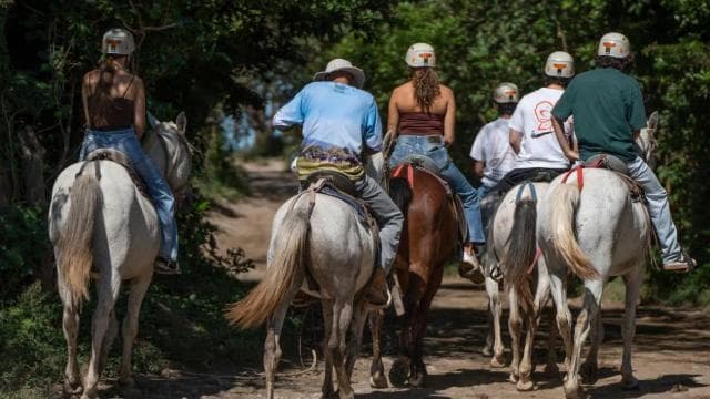 Liberia: Rainforest and Waterfalls Horseriding Tour - Photo 4 (Gallery view)
